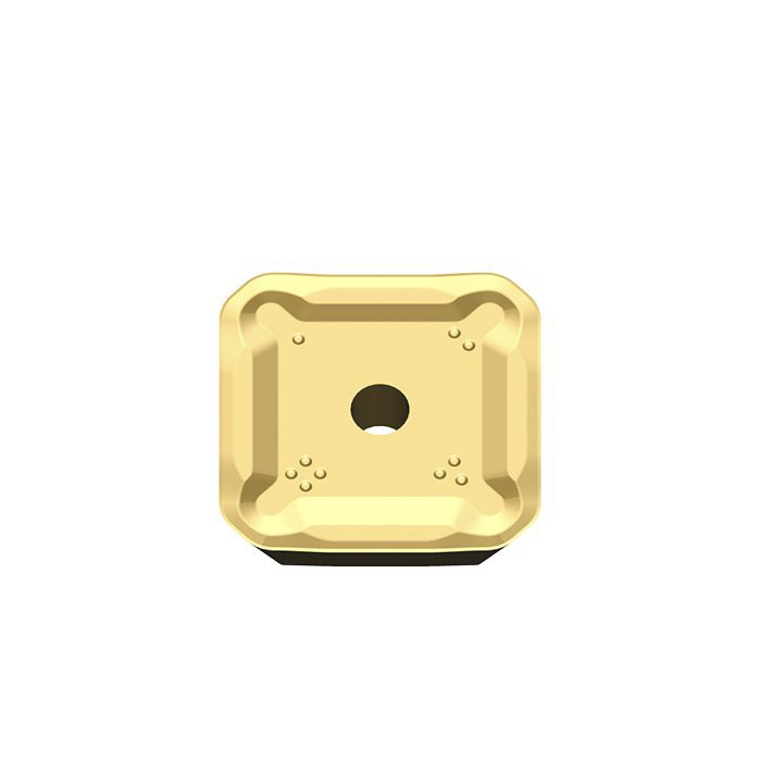 SEER Insert